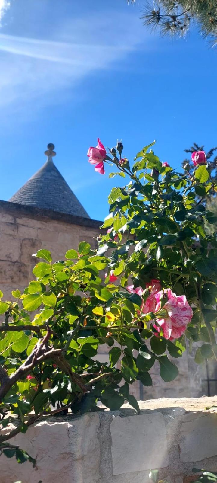CozzanaIl Trullo Delle Rose, Monopoli By Il Pumo Di Puglia别墅 外观 照片