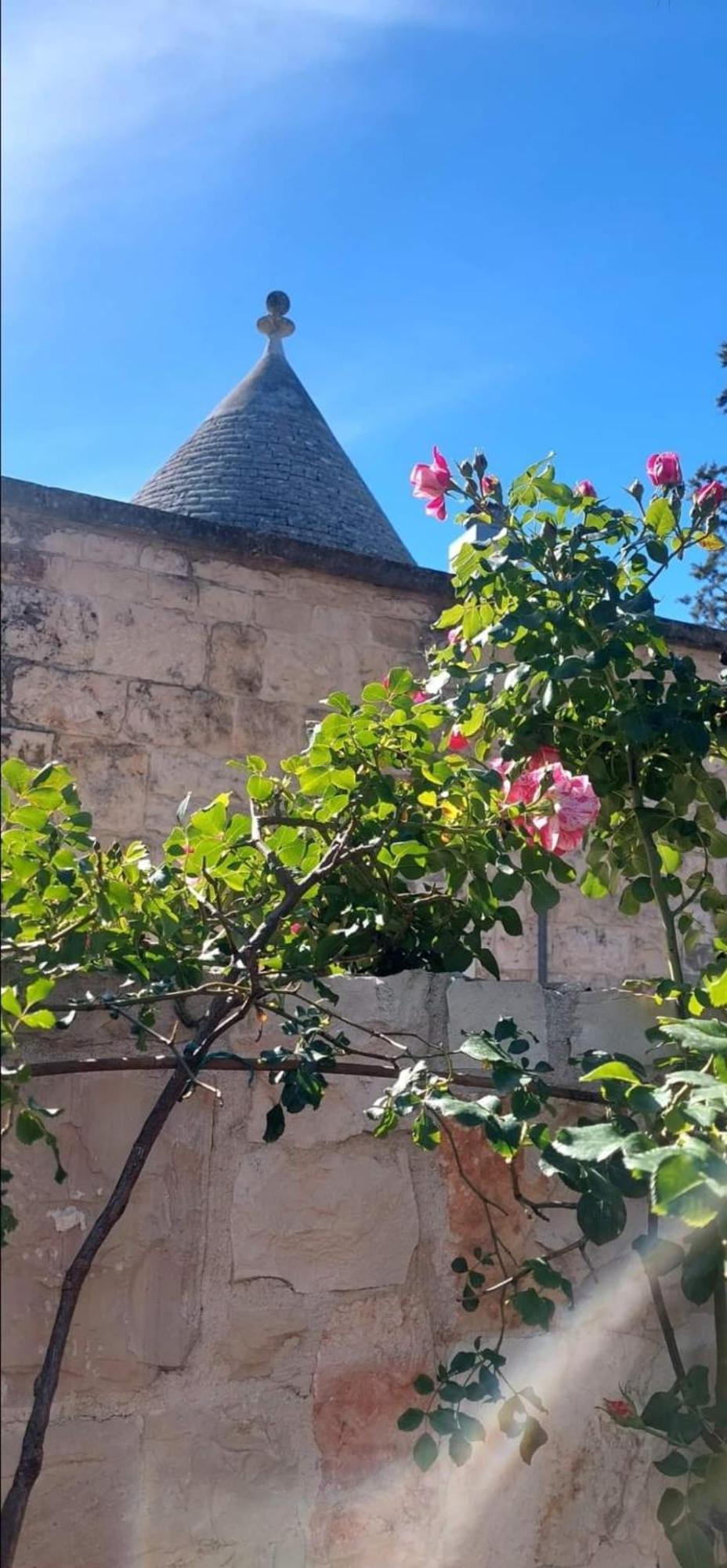 CozzanaIl Trullo Delle Rose, Monopoli By Il Pumo Di Puglia别墅 外观 照片